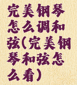 完美钢琴怎么调和弦(完美钢琴和弦怎么看)