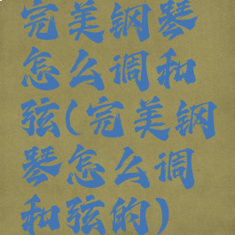 完美钢琴怎么调和弦(完美钢琴怎么调和弦的)