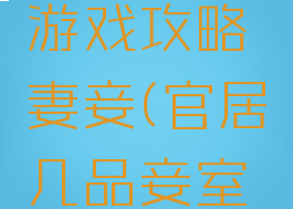 官居几品游戏攻略妻妾(官居几品妾室攻略完整)