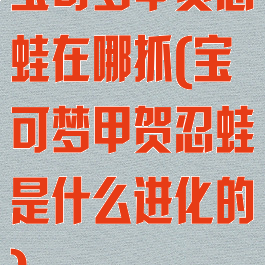 宝可梦甲贺忍蛙在哪抓(宝可梦甲贺忍蛙是什么进化的)