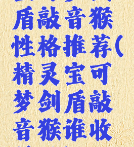 宝可梦剑盾敲音猴性格推荐(精灵宝可梦剑盾敲音猴谁收服了)