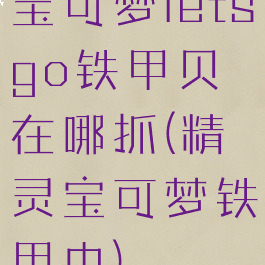 宝可梦letsgo铁甲贝在哪抓(精灵宝可梦铁甲虫)