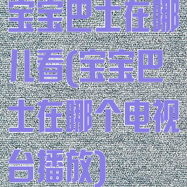 宝宝巴士在哪儿看(宝宝巴士在哪个电视台播放)