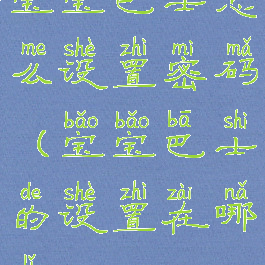 宝宝巴士怎么设置密码(宝宝巴士的设置在哪里)