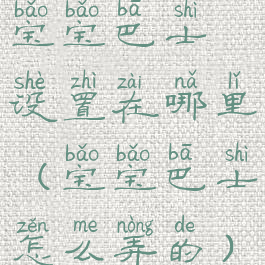 宝宝巴士设置在哪里(宝宝巴士怎么弄的)