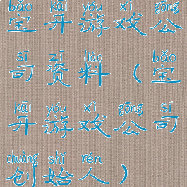 宝开游戏公司资料(宝开游戏公司创始人)
