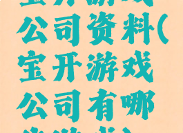 宝开游戏公司资料(宝开游戏公司有哪些游戏)