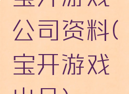 宝开游戏公司资料(宝开游戏出品)