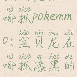 宝贝龙在哪抓pokemmo(宝贝龙在哪抓漆黑的魅影)