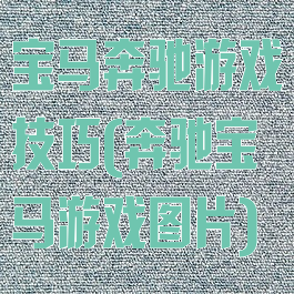 宝马奔驰游戏技巧(奔驰宝马游戏图片)