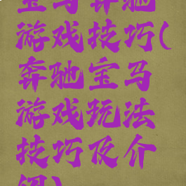 宝马奔驰游戏技巧(奔驰宝马游戏玩法技巧及介绍)