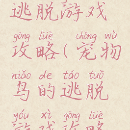 宠物鸟的逃脱游戏攻略(宠物鸟的逃脱游戏攻略视频)