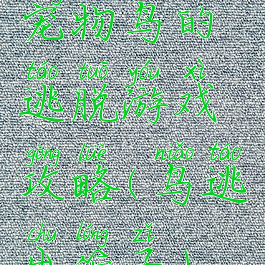 宠物鸟的逃脱游戏攻略(鸟逃出笼子)