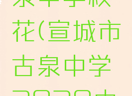 宣城市古泉中学校花(宣城市古泉中学2020中考成绩)