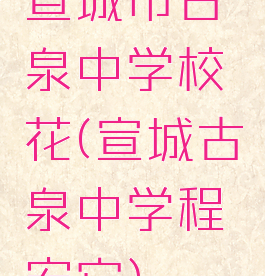 宣城市古泉中学校花(宣城古泉中学程宏安)