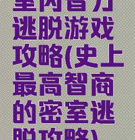 室内智力逃脱游戏攻略(史上最高智商的密室逃脱攻略)