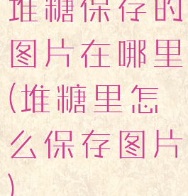 堆糖保存的图片在哪里(堆糖里怎么保存图片)
