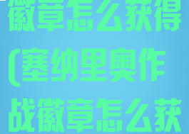 塞纳里奥作战徽章怎么获得(塞纳里奥作战徽章怎么获得最快)