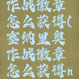 塞纳里奥作战徽章怎么获得(塞纳里奥作战徽章怎么获得nga)