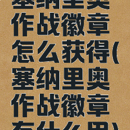 塞纳里奥作战徽章怎么获得(塞纳里奥作战徽章有什么用)