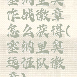 塞纳里奥作战徽章怎么获得(塞纳里奥远征队徽章)