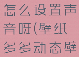壁纸多多里的动态壁纸怎么设置声音呀(壁纸多多动态壁纸怎么没有声音)