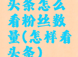 头条怎么看粉丝数量(怎样看头条)