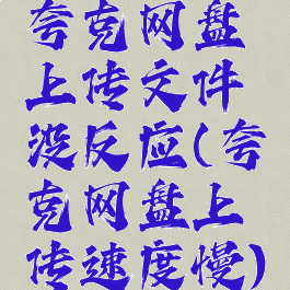 夸克网盘上传文件没反应(夸克网盘上传速度慢)