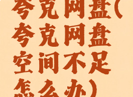 夸克网盘(夸克网盘空间不足怎么办)