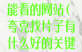 夸克中成人才能看的网站(夸克找片子有什么好的关键词)