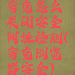 夸克怎么关闭安全网址检测(夸克浏览器安全)