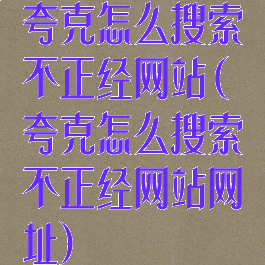 夸克怎么搜索不正经网站(夸克怎么搜索不正经网站网址)