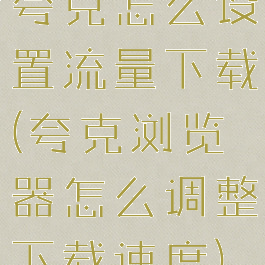 夸克怎么设置流量下载(夸克浏览器怎么调整下载速度)