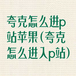 夸克怎么进p站苹果(夸克怎么进入p站)