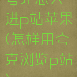 夸克怎么进p站苹果(怎样用夸克浏览p站)