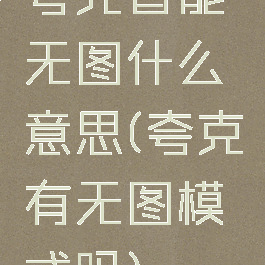 夸克智能无图什么意思(夸克有无图模式吗)