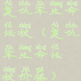 复仇军生命法杖(复仇军生命法杖价格)