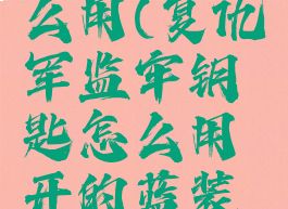 复仇军监牢钥匙怎么用(复仇军监牢钥匙怎么用开的蓝装是装绑吗?)