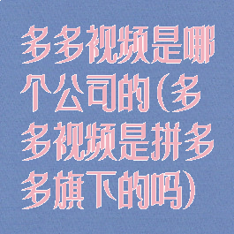 多多视频是哪个公司的(多多视频是拼多多旗下的吗)