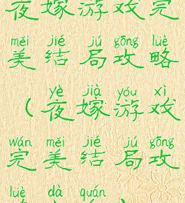 夜嫁游戏完美结局攻略(夜嫁游戏完美结局攻略大全)