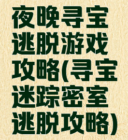夜晚寻宝逃脱游戏攻略(寻宝迷踪密室逃脱攻略)