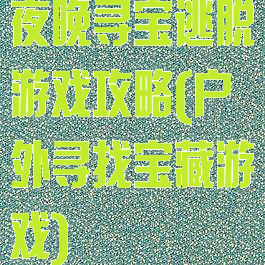 夜晚寻宝逃脱游戏攻略(户外寻找宝藏游戏)