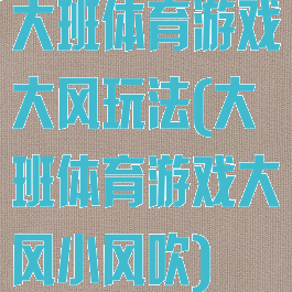 大班体育游戏大风玩法(大班体育游戏大风小风吹)