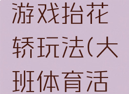 大班体育游戏抬花轿玩法(大班体育活动抬花轿)