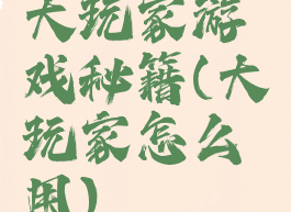 大玩家游戏秘籍(大玩家怎么用)