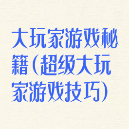 大玩家游戏秘籍(超级大玩家游戏技巧)