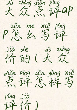 大众点评app怎么写评价的(大众点评怎样写评价)