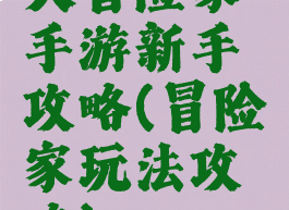 大冒险家手游新手攻略(冒险家玩法攻略)