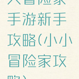 大冒险家手游新手攻略(小小冒险家攻略)