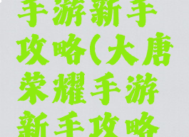 大唐荣耀手游新手攻略(大唐荣耀手游新手攻略大全)